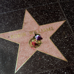 Der Stern von Robin Williams auf dem Walk of Fame. Mit Blumen wird an seinen Tod erinnert. © Tanja Banner