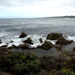 17-Mile-Drive in Monterey. © Tanja Banner