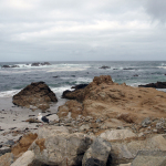 17-Mile-Drive in Monterey. © Tanja Banner